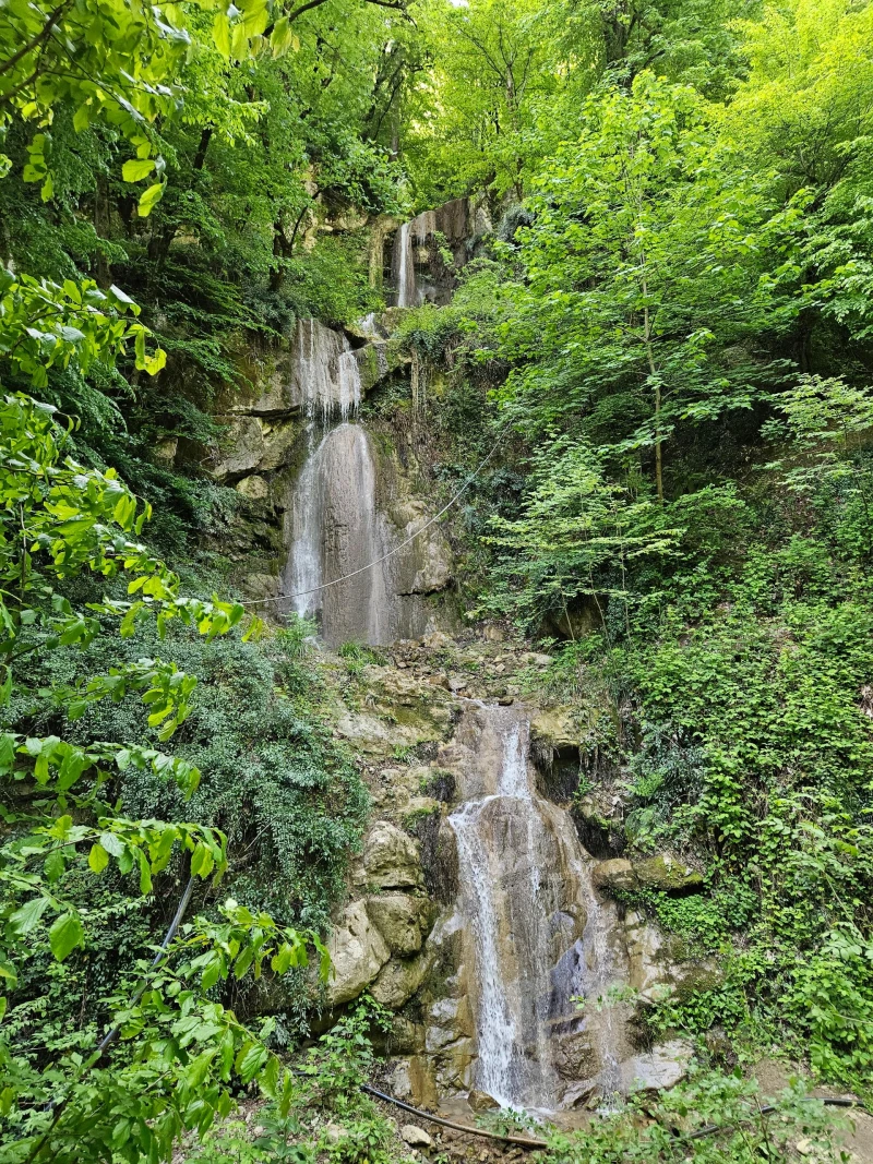 _