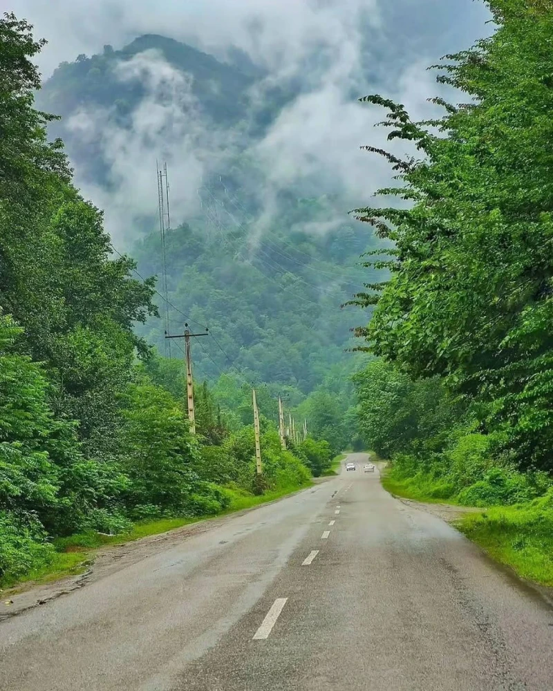_
