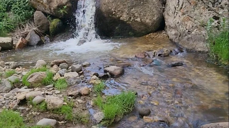 _