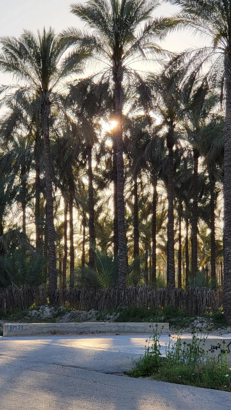 _