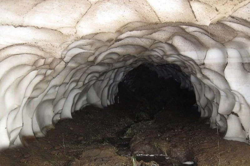 _