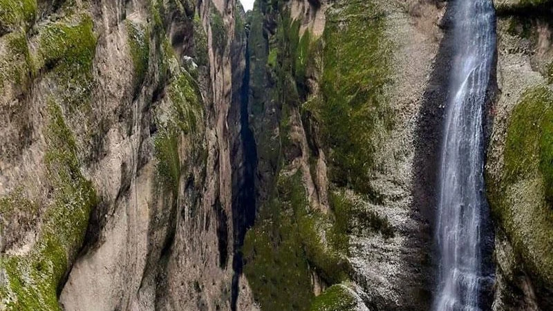 _