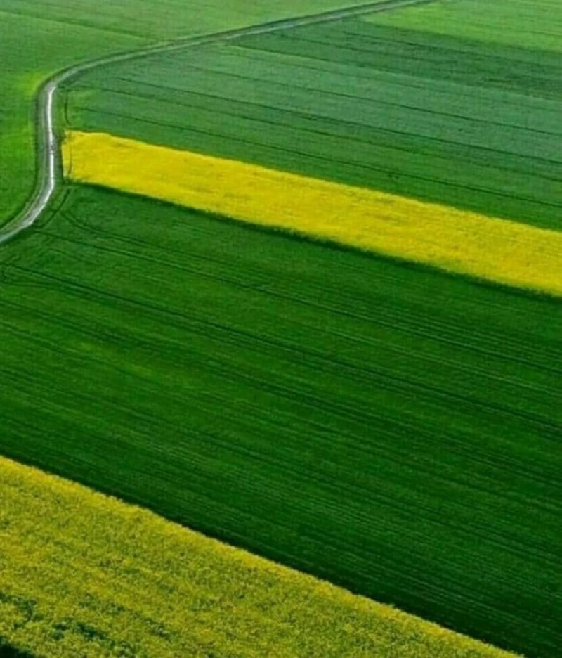 _