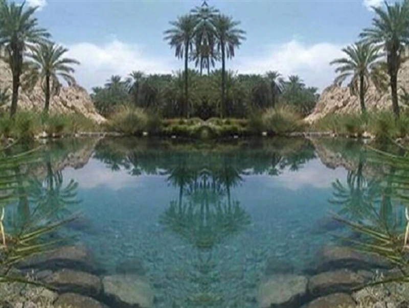 _