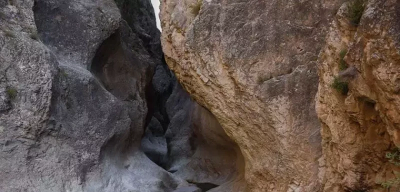 _