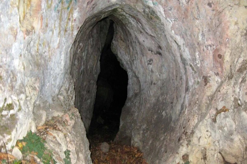 _