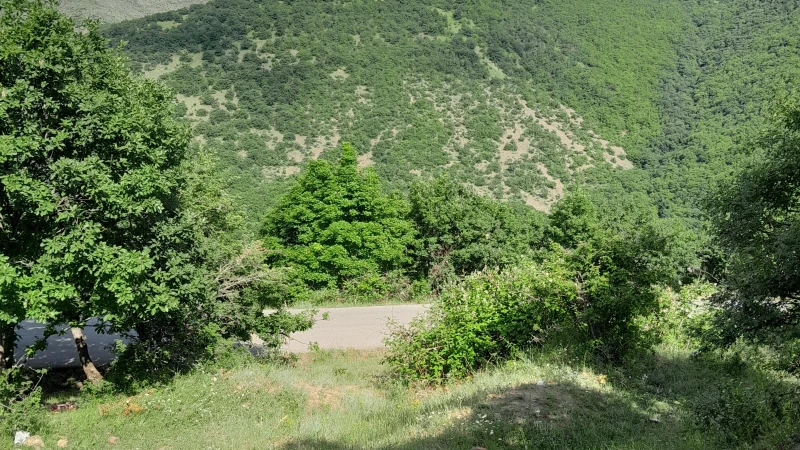 _