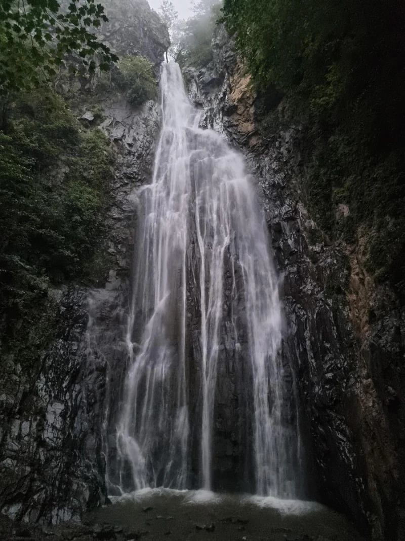 _