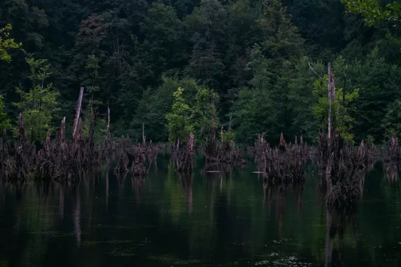 _