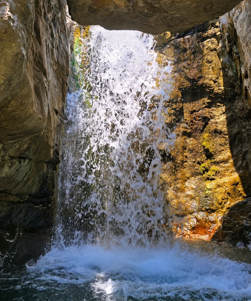 _