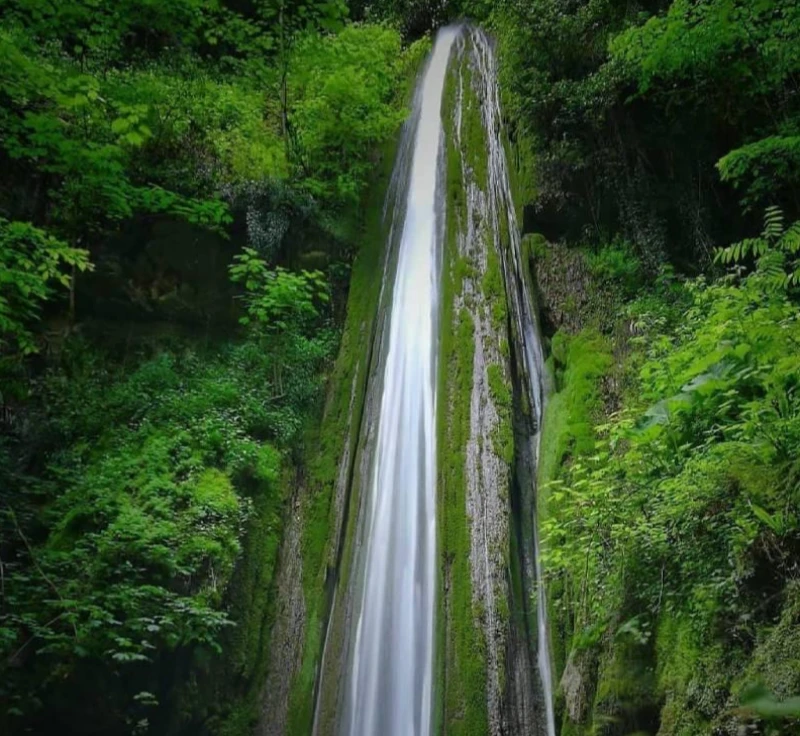 _