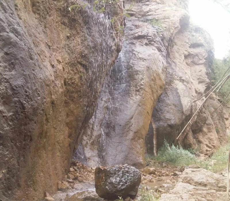 _