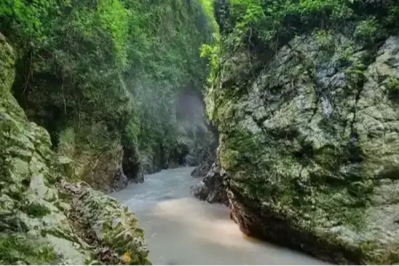 _