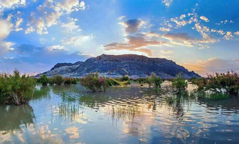 _