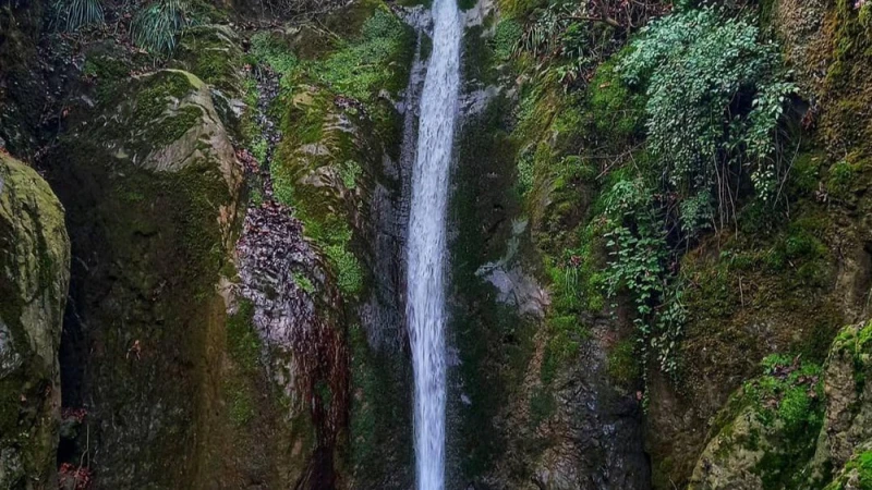 _