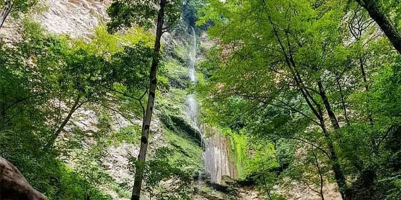 _
