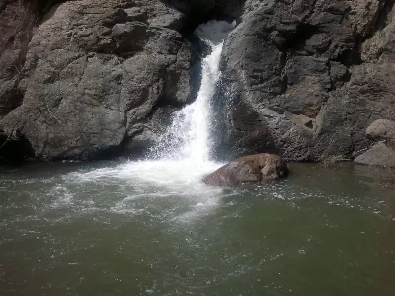 _
