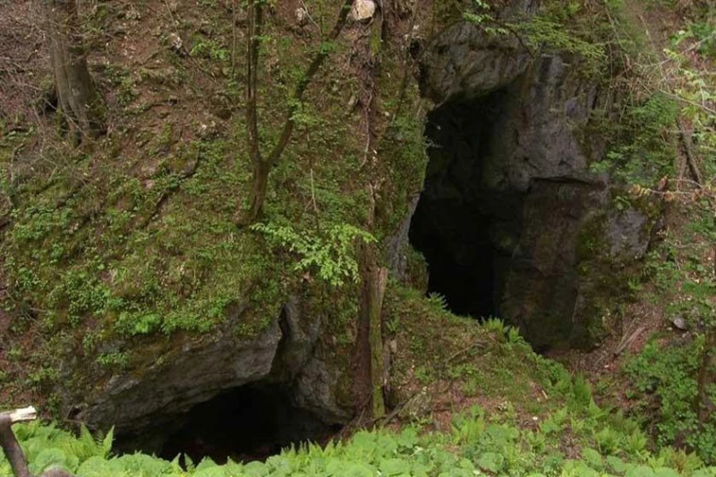 _