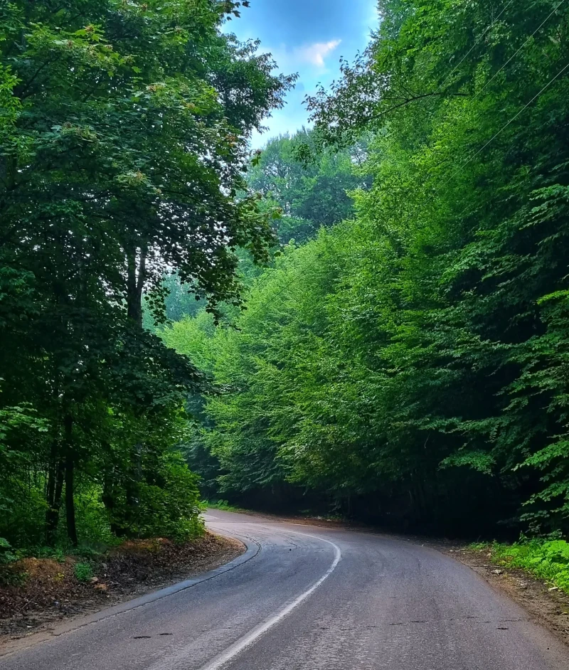 _