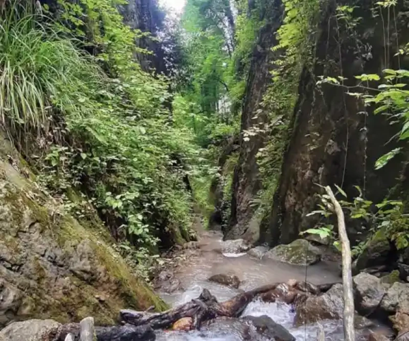 _