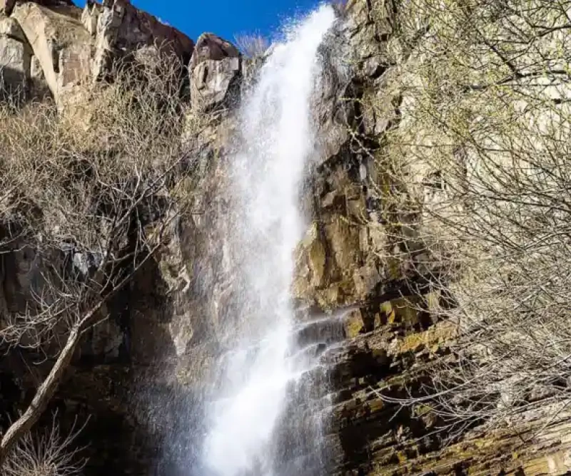 _