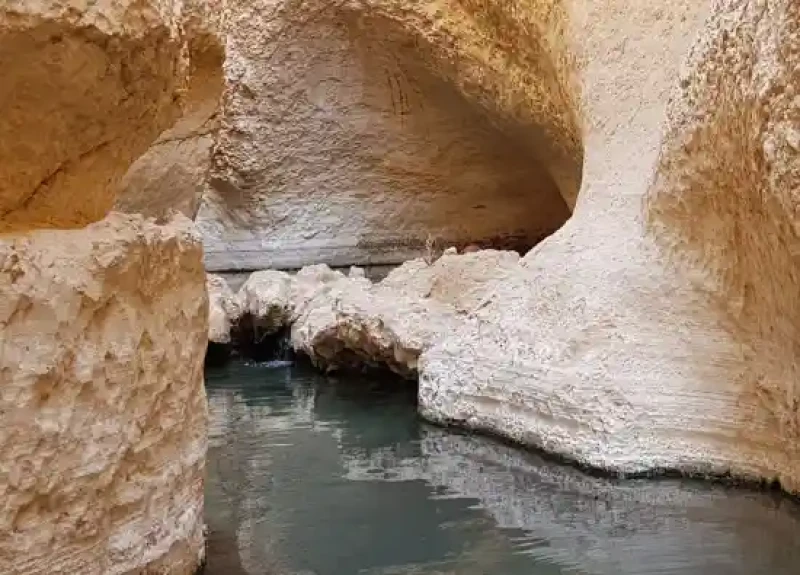 _