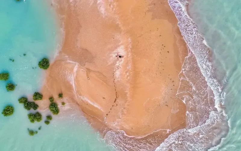 _
