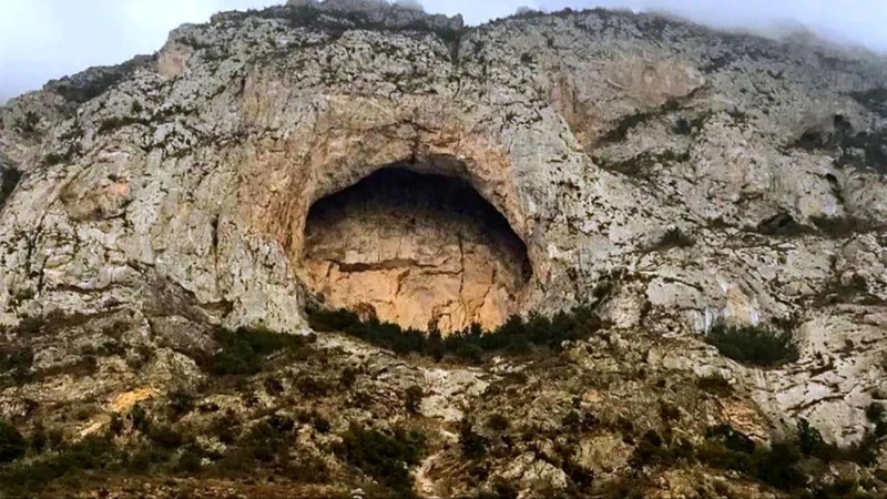 _