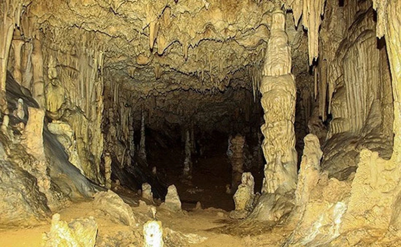 _