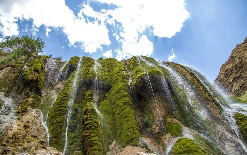 _