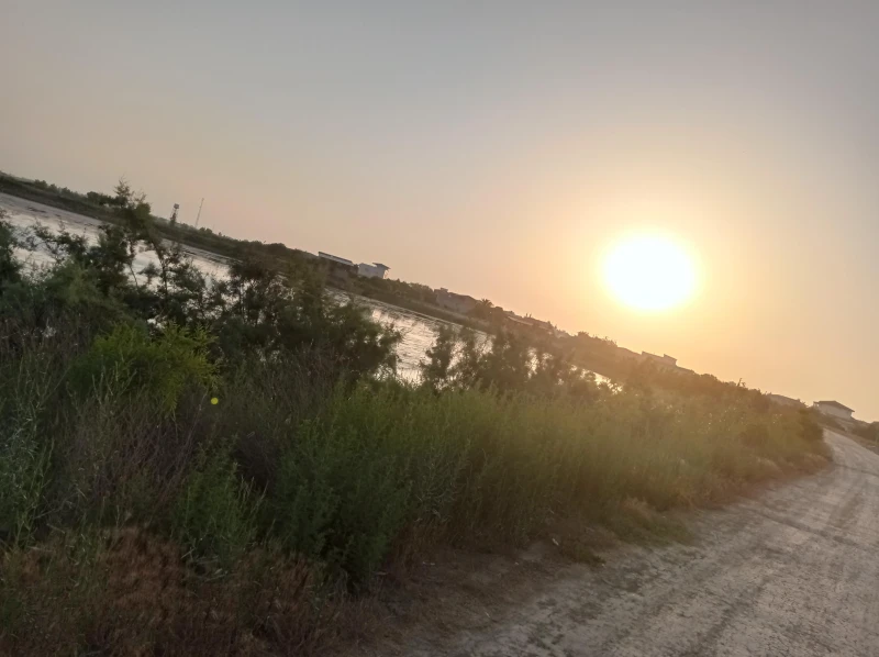 _