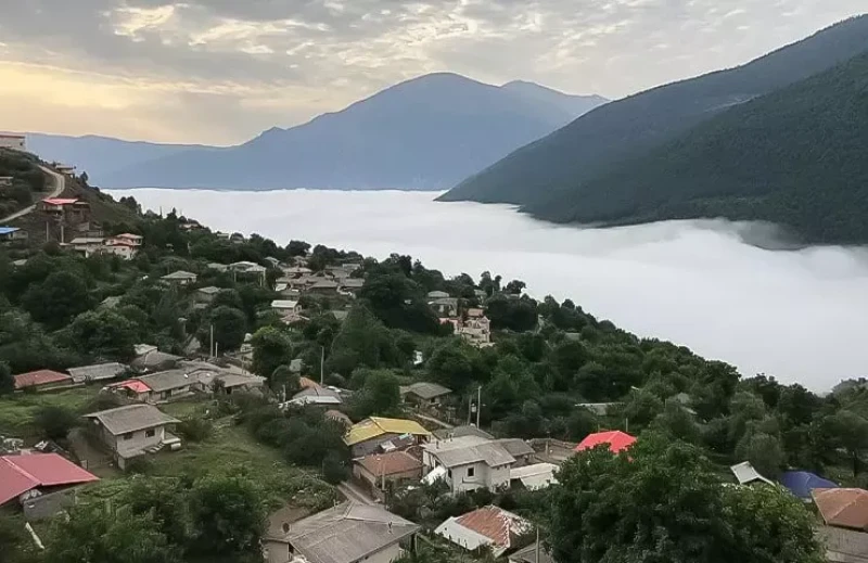 _