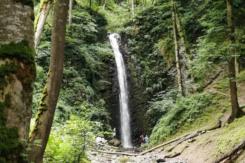 _