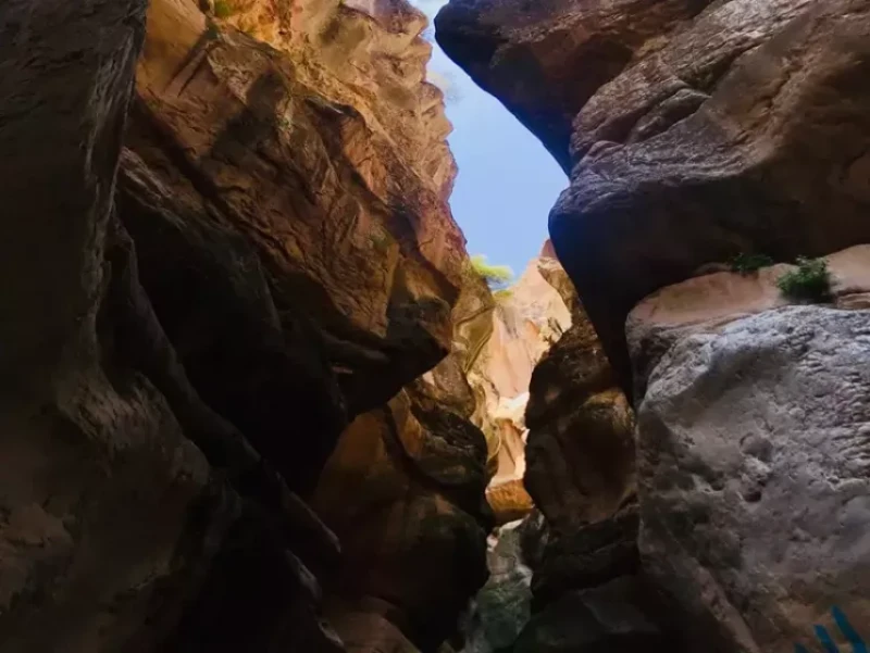 _