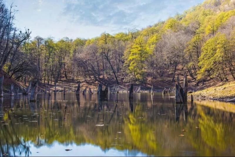 _