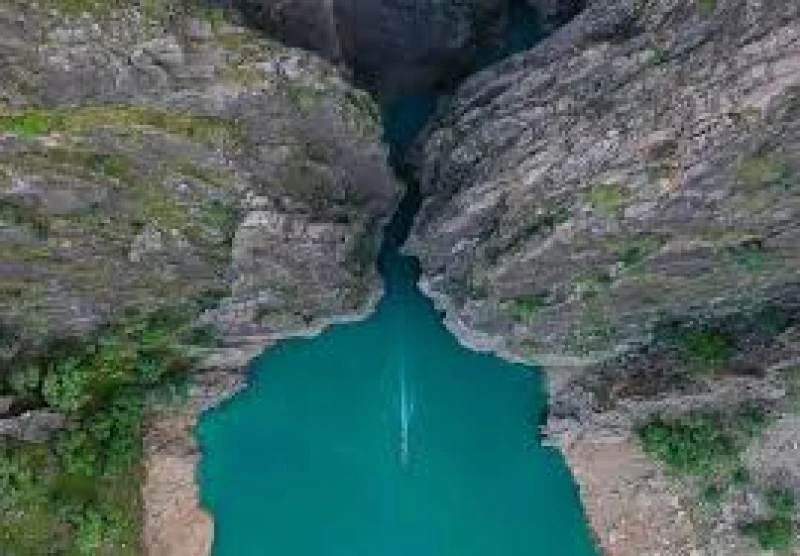 _