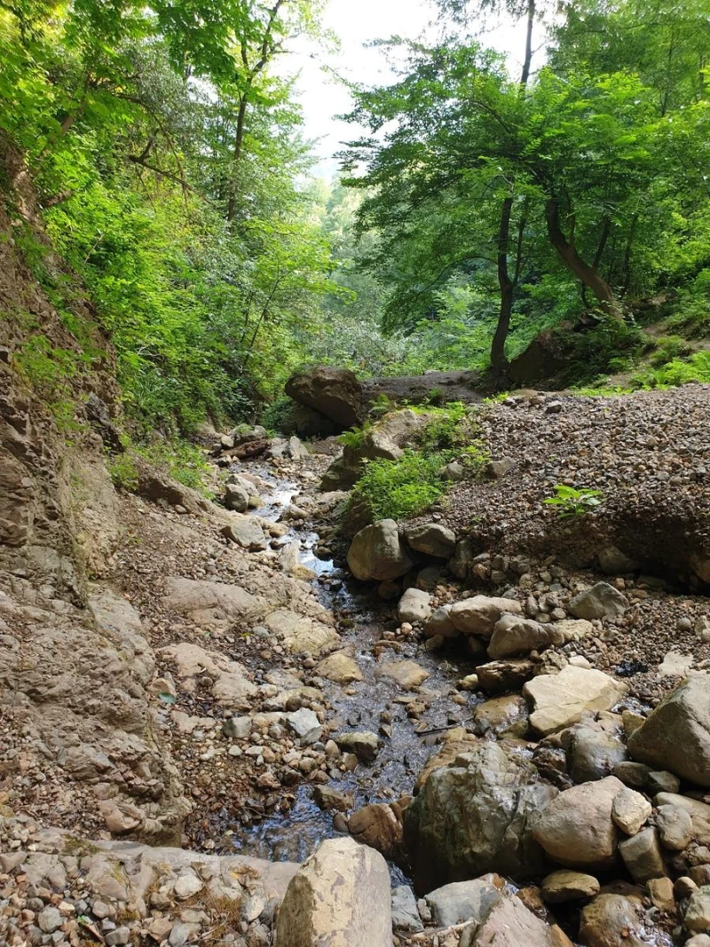 _
