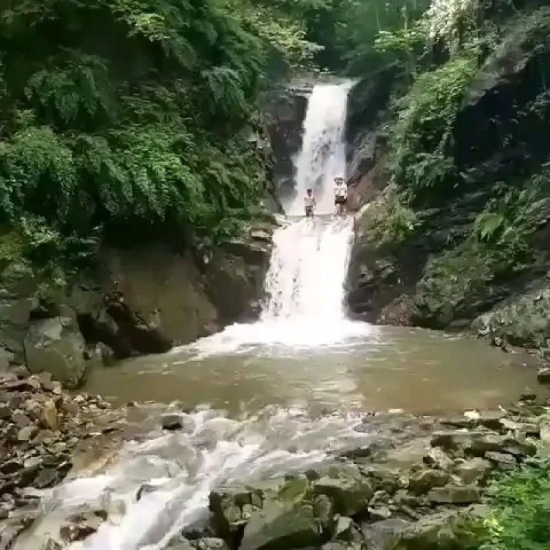 _