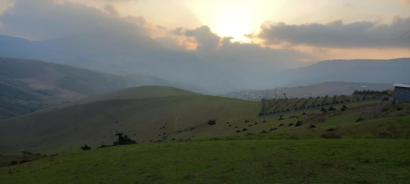 _