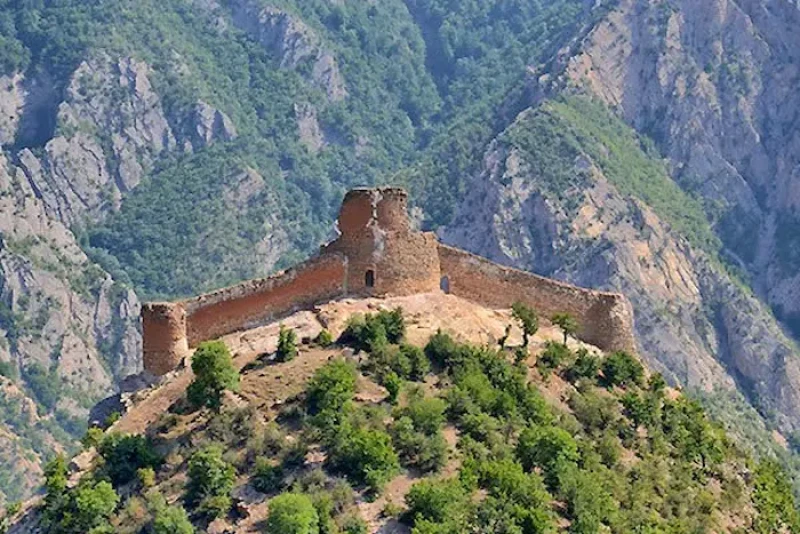 _