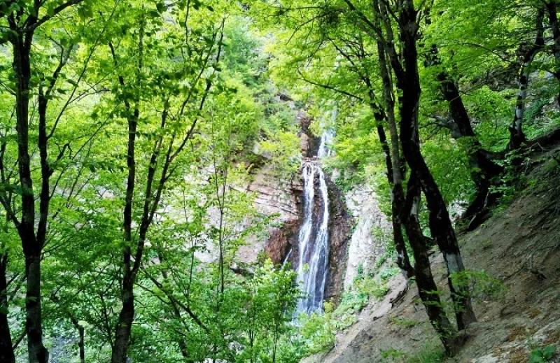 _