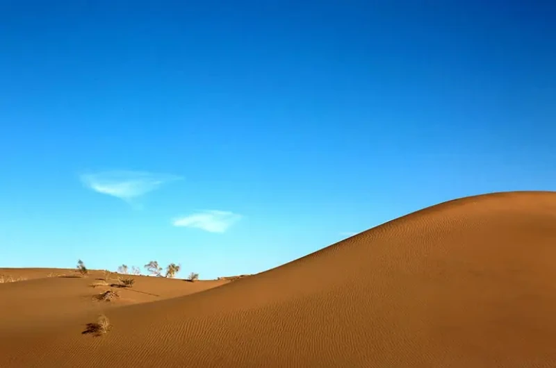 _