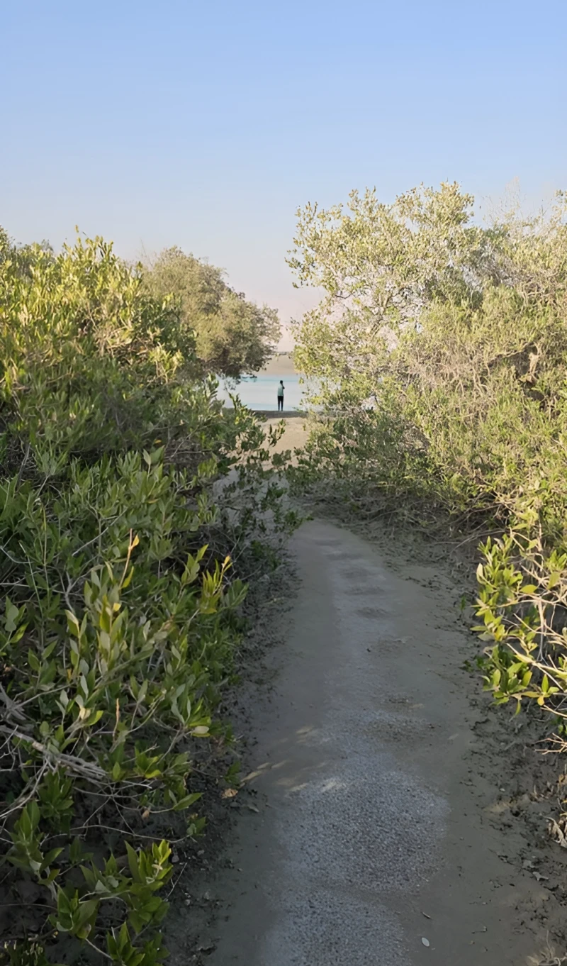 _