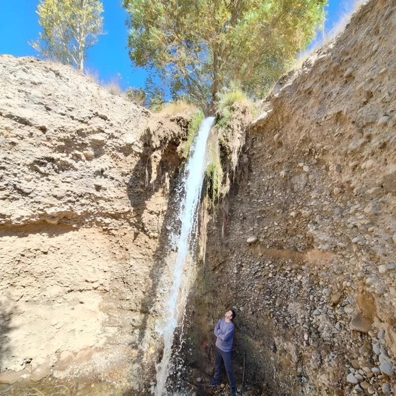 _