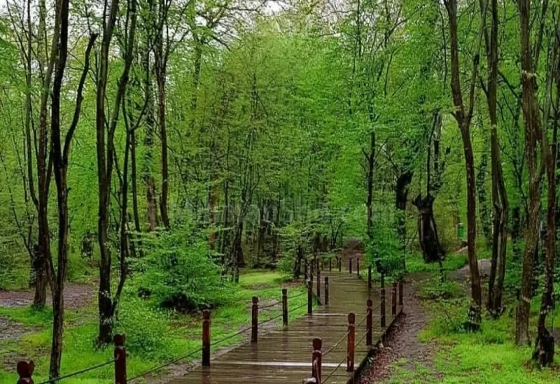 _
