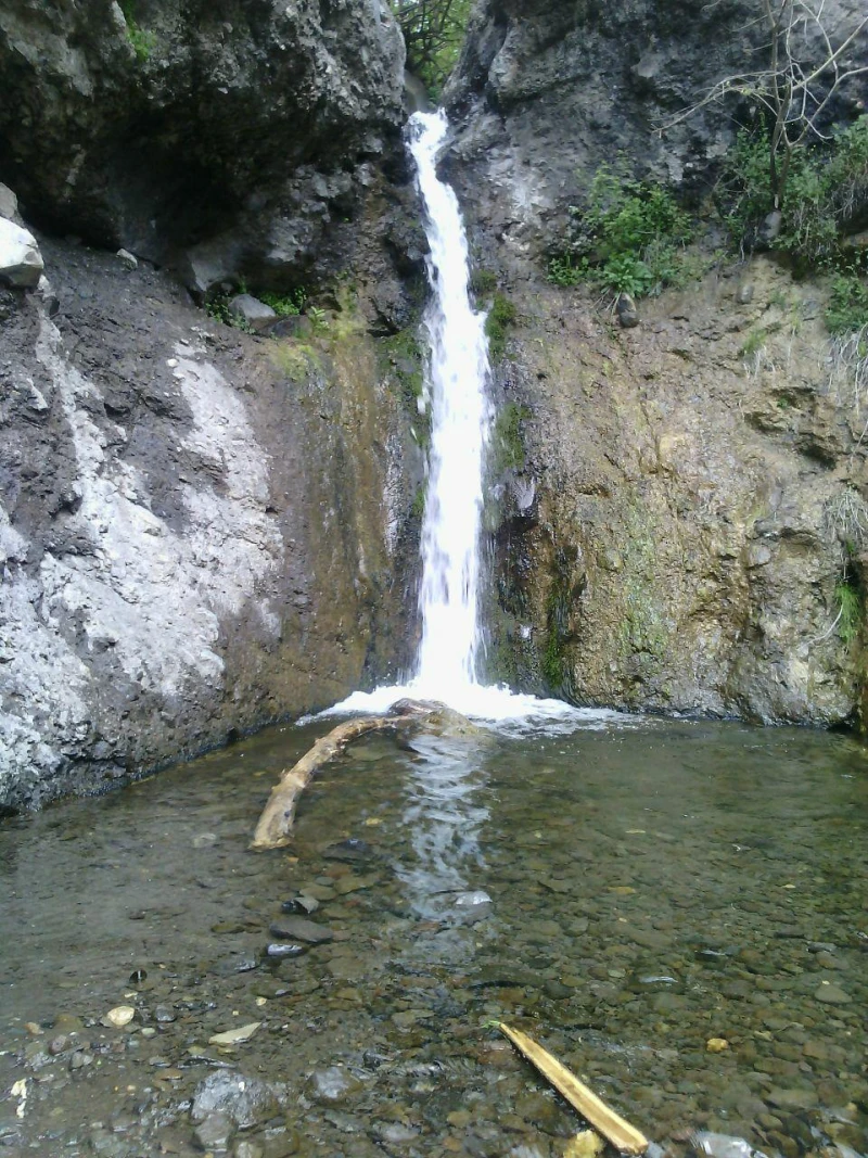 _