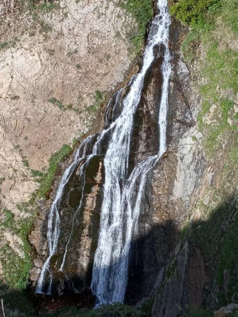 _