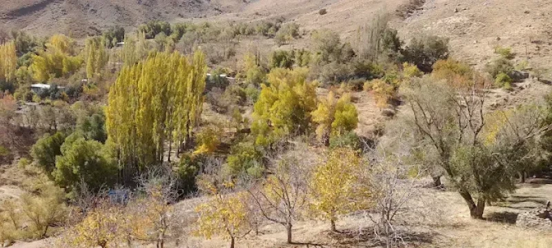 _