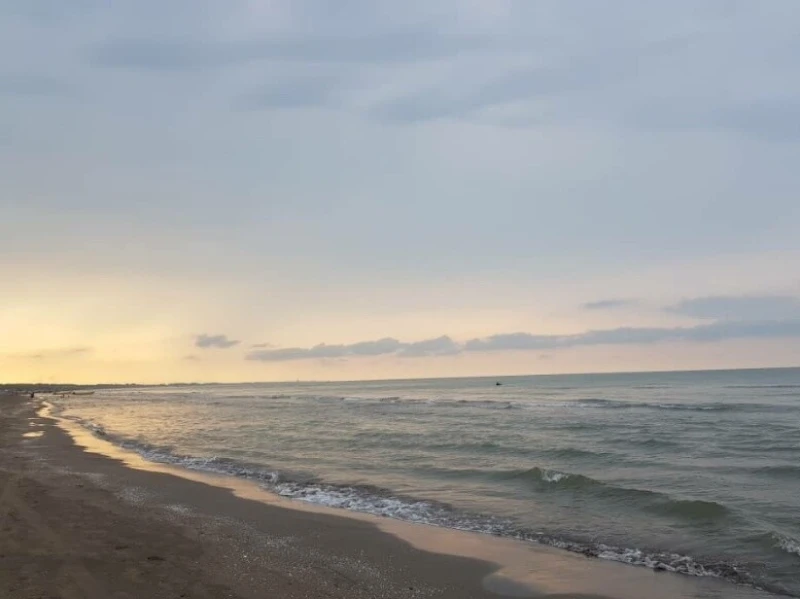 _