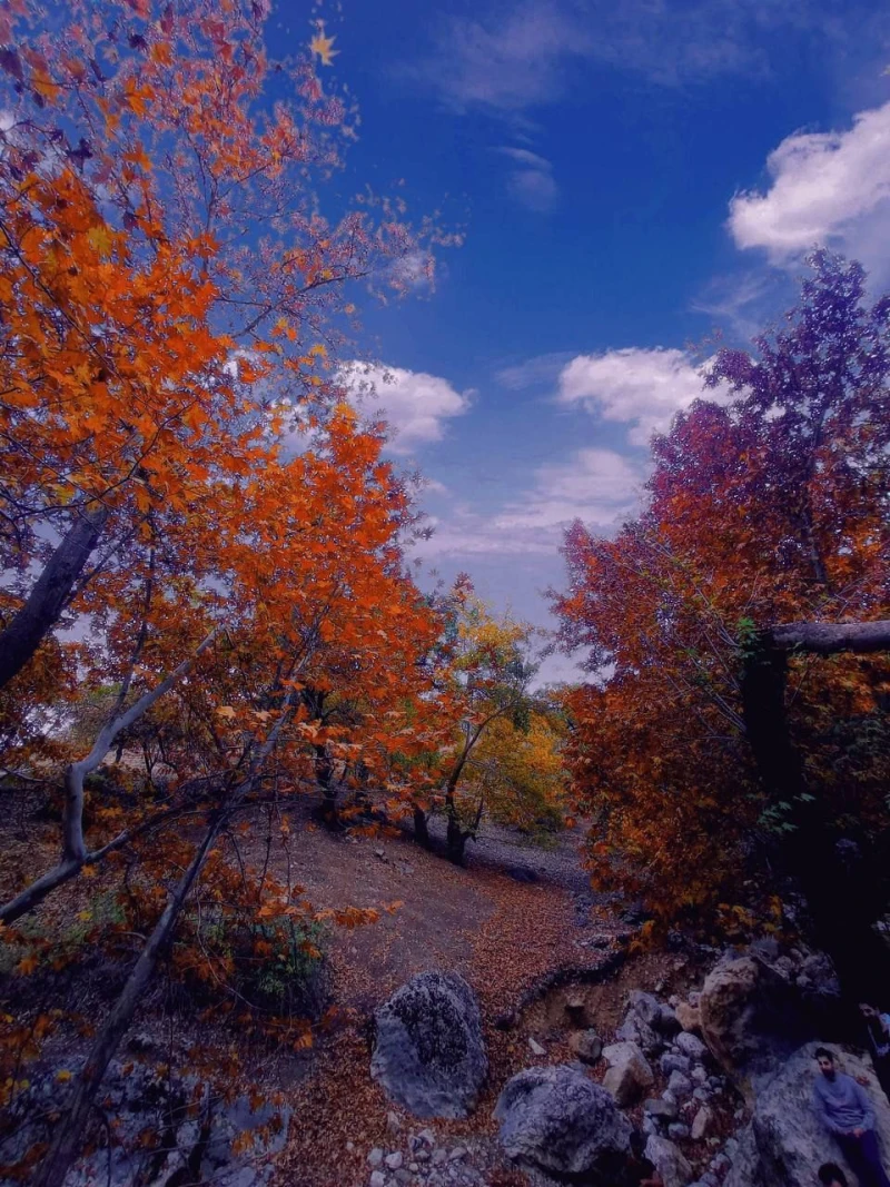 _